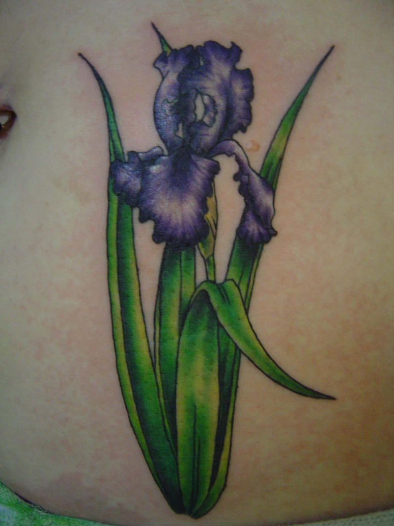 iris tattoo by sarahink on