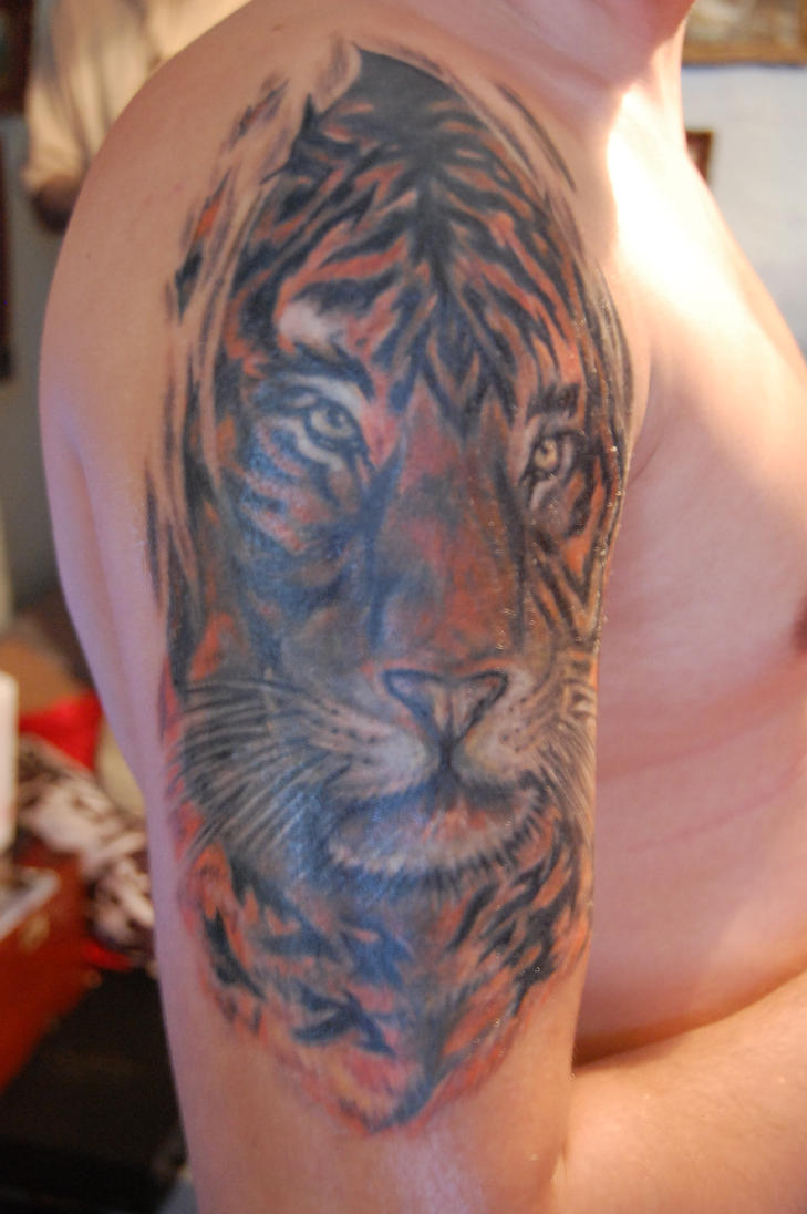 tiger tattoo 1 by Kiddotattoo on deviantART