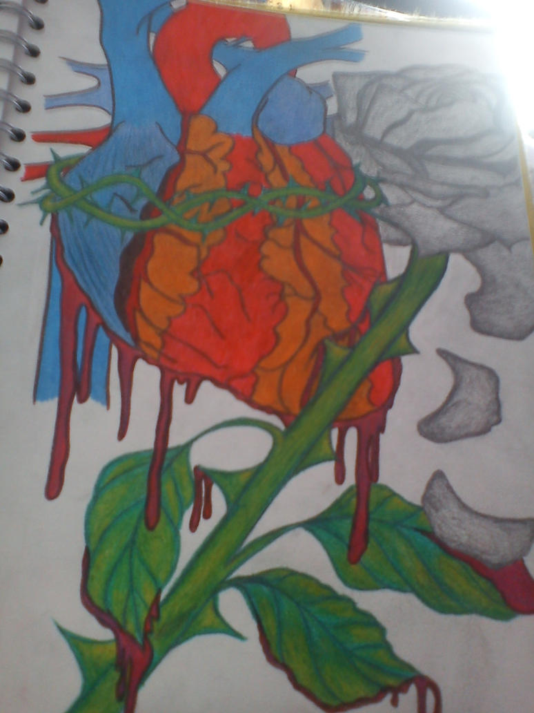 Coloured Human Heart with Rose