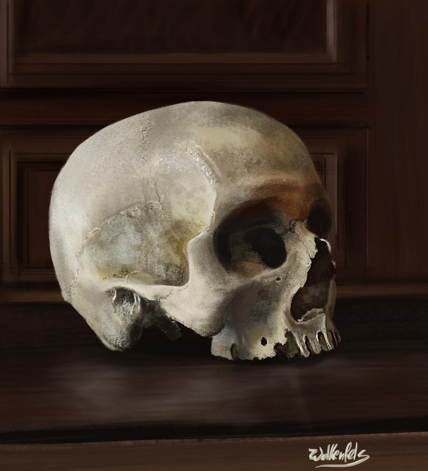 [Image: still_life_study_skull_by_wolkenfels-d62h929.jpg]