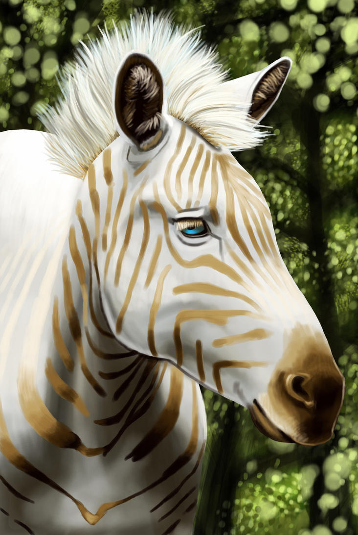 Golden zebra by 3Beccaboo