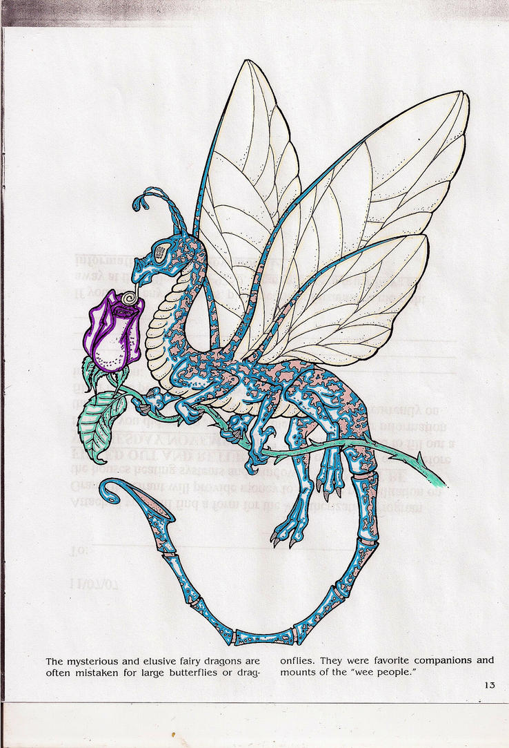 fairy dragon coloring pages - photo #27