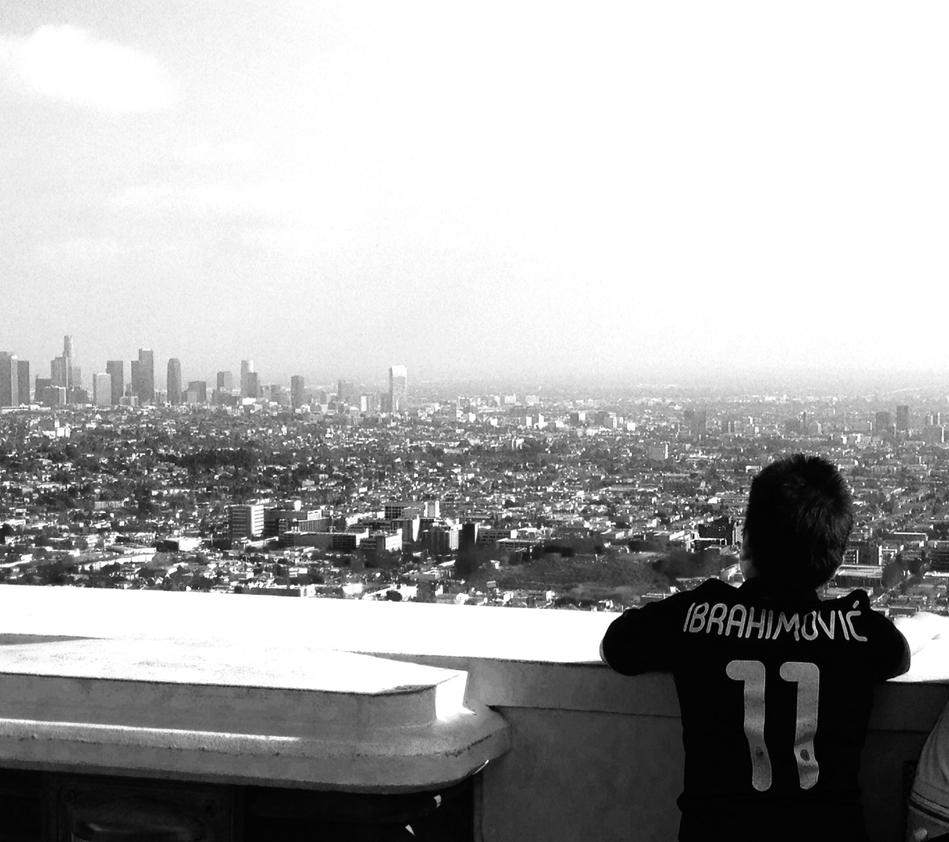 soccer_fan_looking_at__los_angeles_by_sunshinedorcol-d7i6qgu.jpg