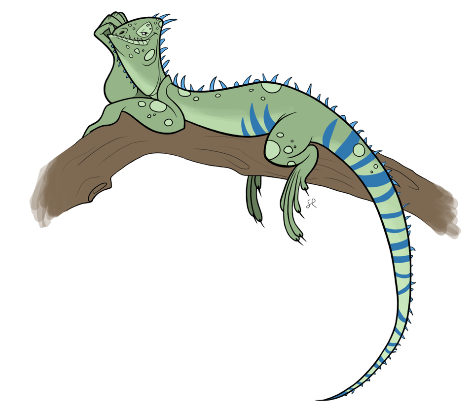 Character Design - Iguana by shayfifearts on DeviantArt