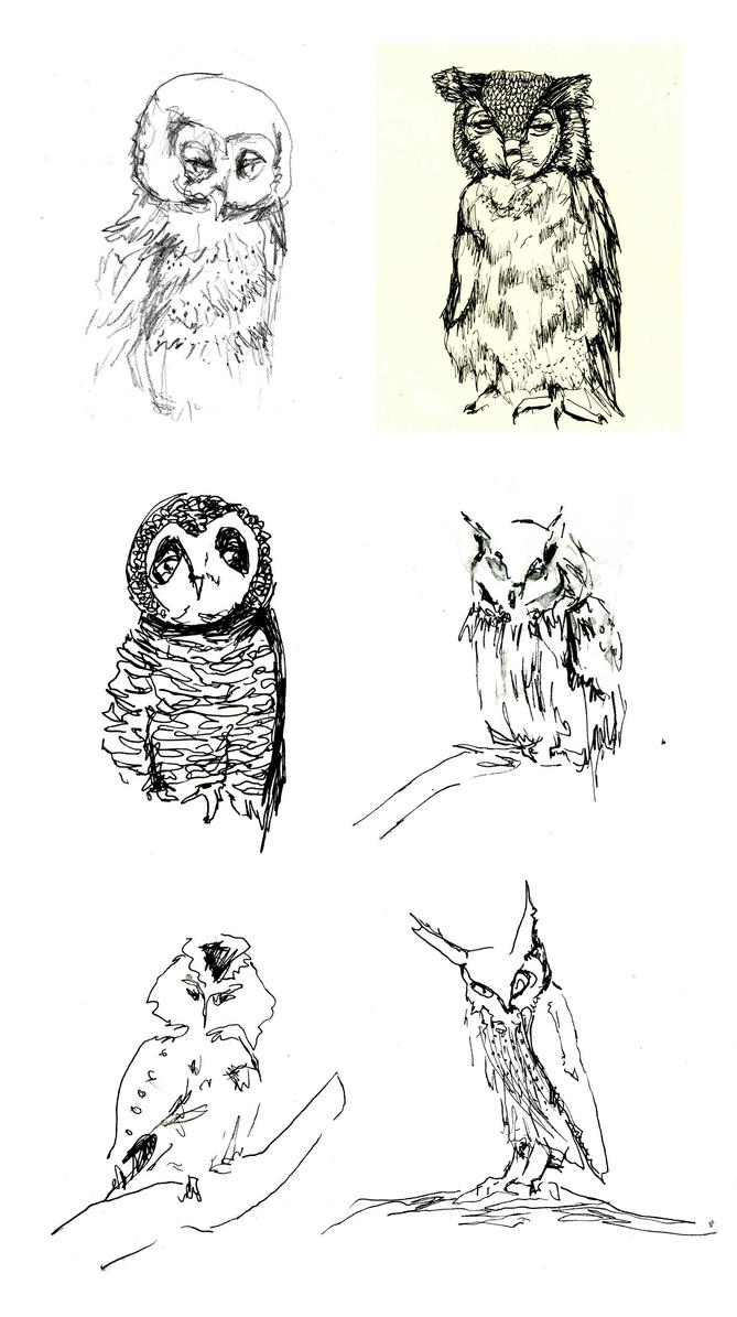 Owl drawings by dyingrose24 on DeviantArt