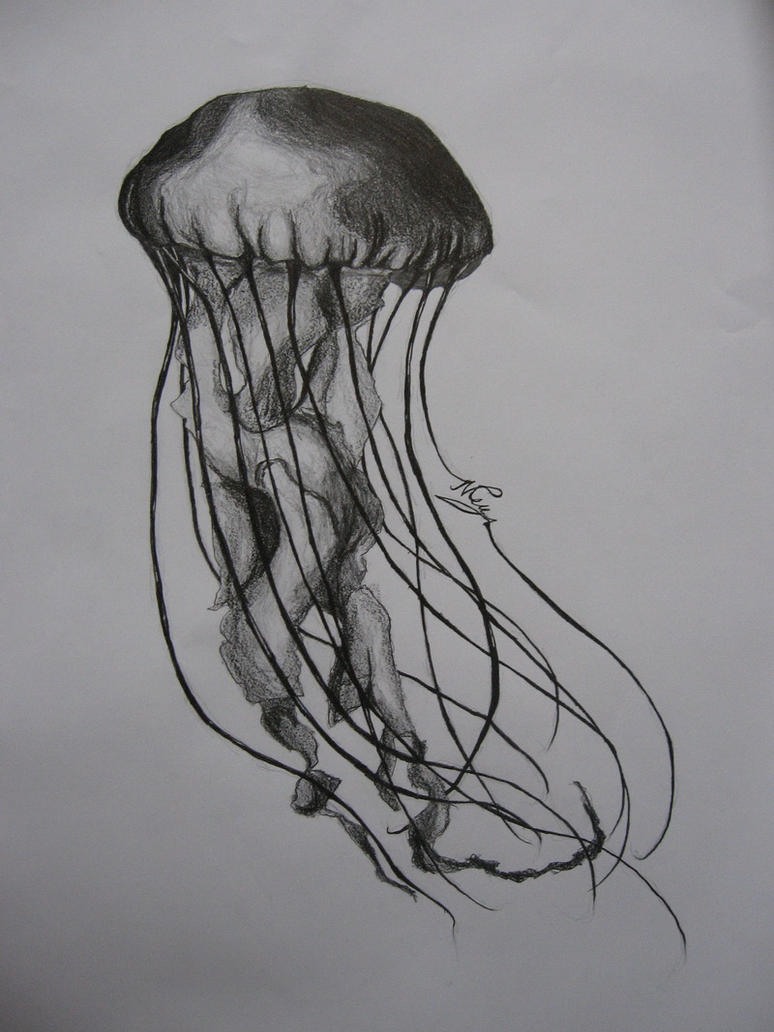 a jellyfish by wateryash d4p2gae