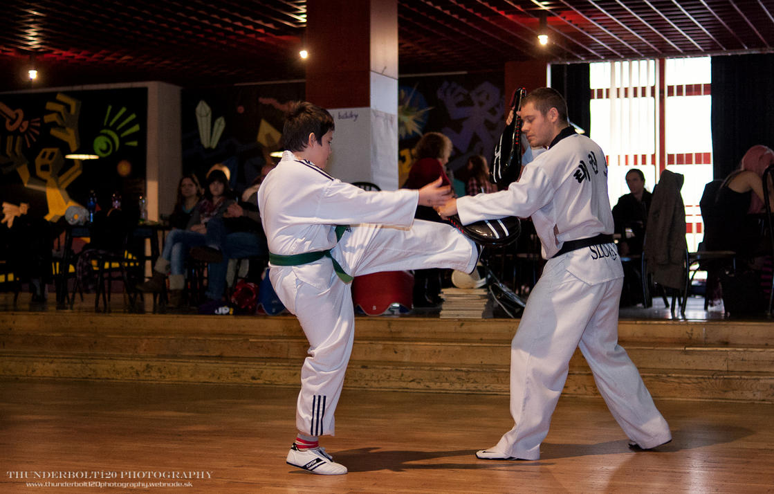 ŠKP Ryong Taekwondo