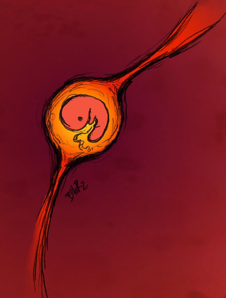 fetus by Bob-Rz
